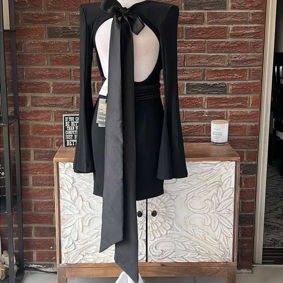 Zhivago The Fan V-Neck Minidress Size. 4 NWT - Picture 4 of 7